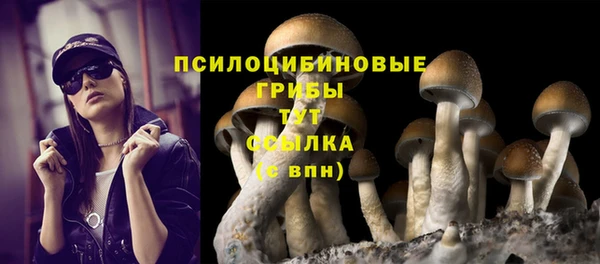 стаф Белокуриха
