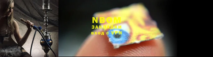 стаф Белокуриха