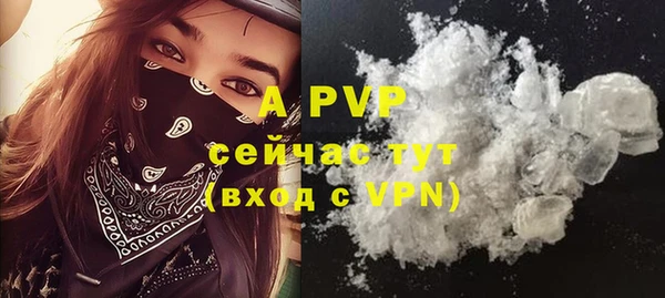 стаф Белокуриха