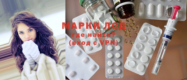 стаф Белокуриха