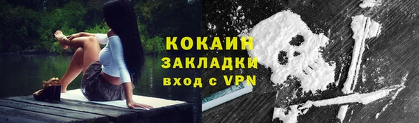 стаф Белокуриха