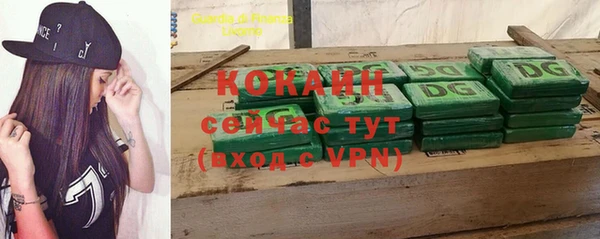 стаф Белокуриха