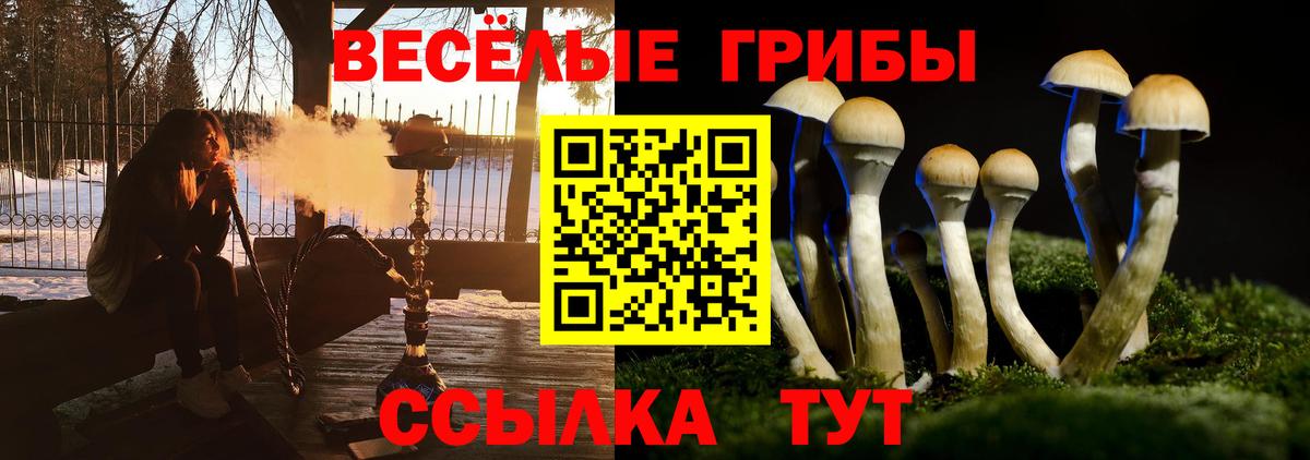 Псилоцибиновые грибы мухоморы  даркнет сайт  Наро-Фоминск  Вход с VPN 